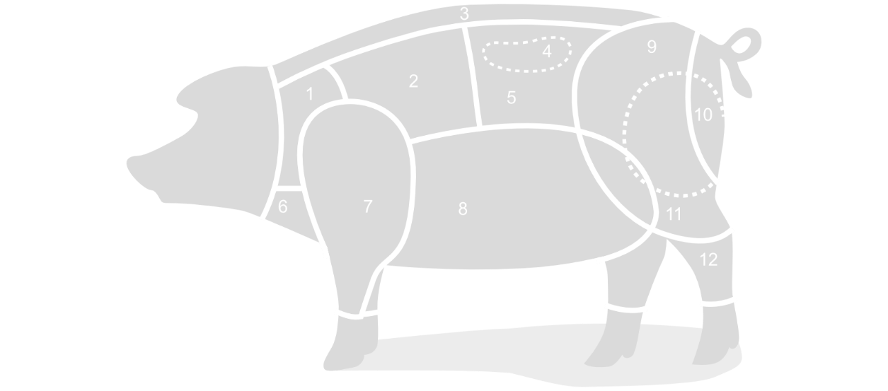 Parti del corpo del maiale